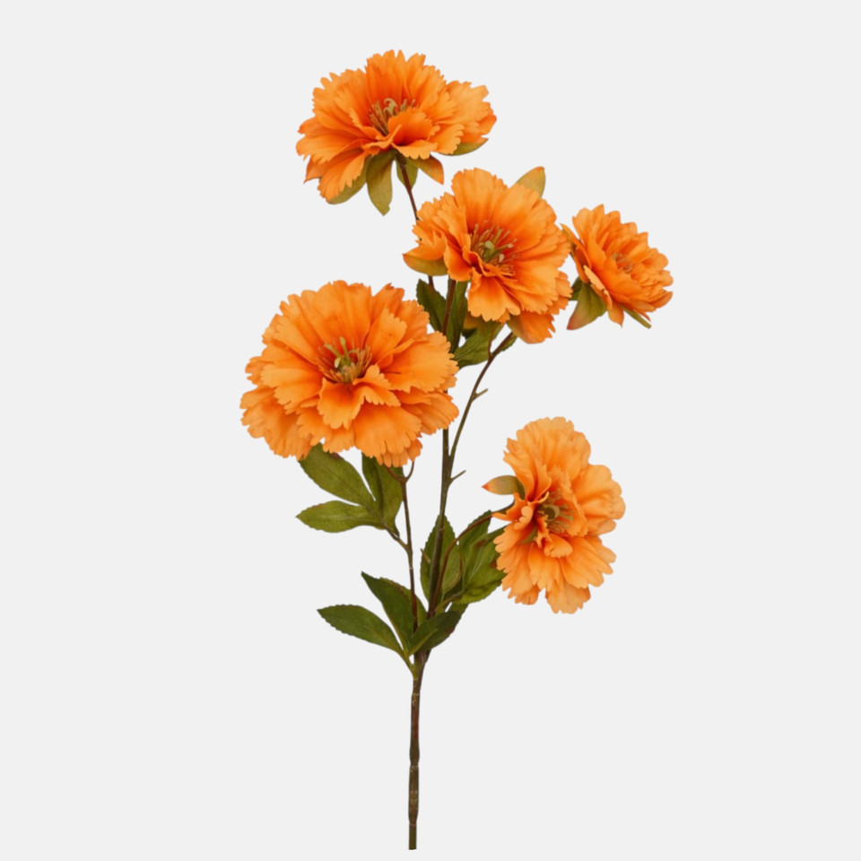 Goździk x 5, Orange L906-07