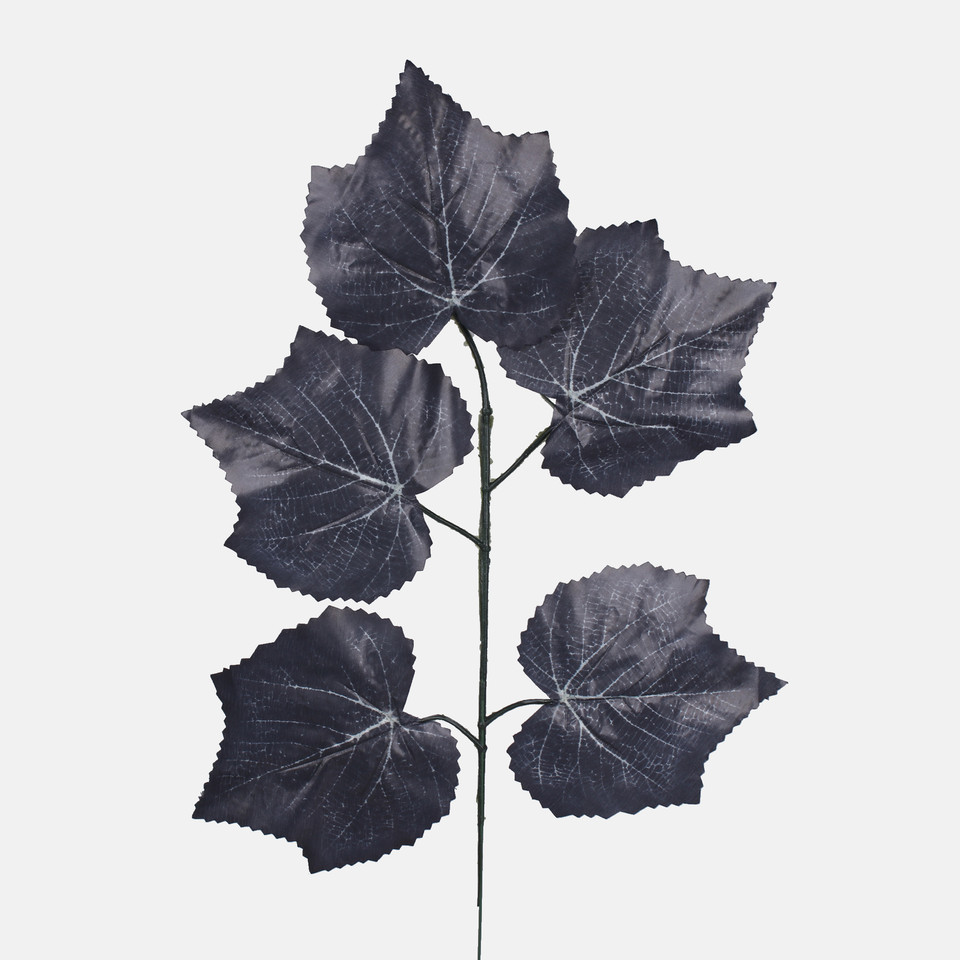 Maple, Black F243-02