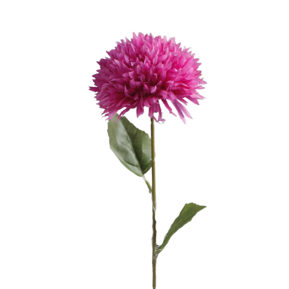 Czosnek - gałązka 53 cm, m K612-m