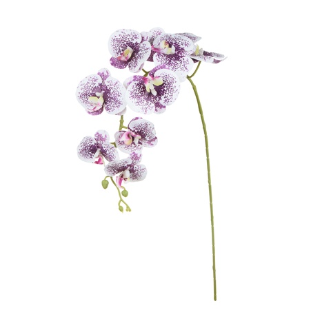 Storczyk - gałązka gumowana 102 cm, cream violet dot GK560-08