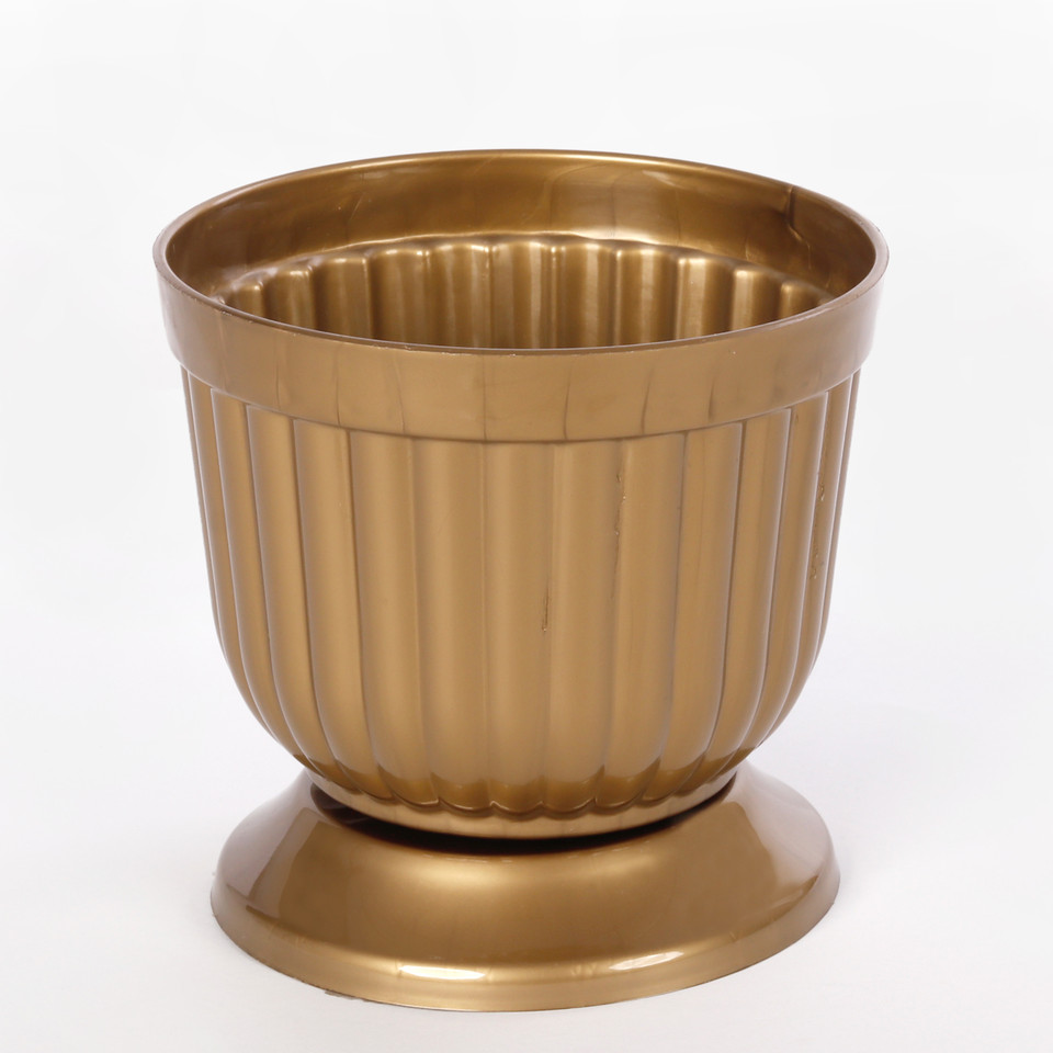 Gazon 14 cm, Gold C077-01