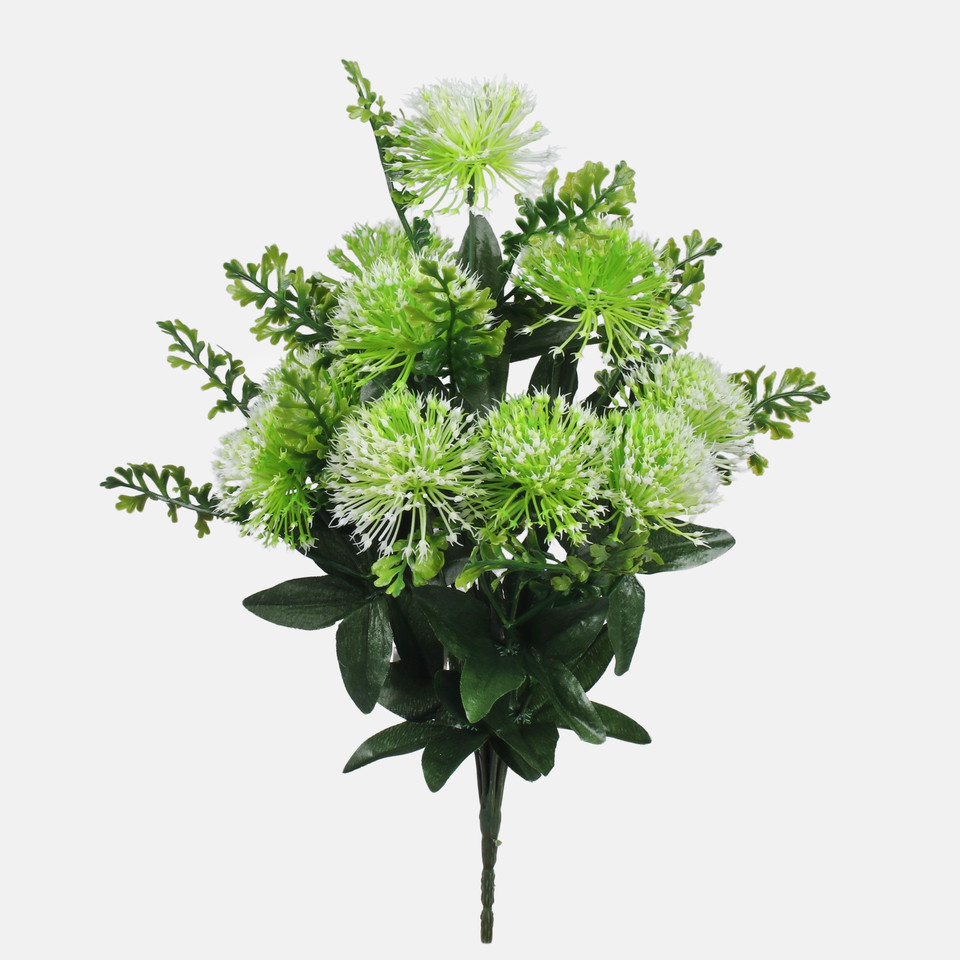 Oset x 10, Lt. Green/White QA249-01