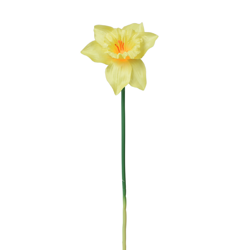 Żonkil - gałązka 39 cm, m K550E-m