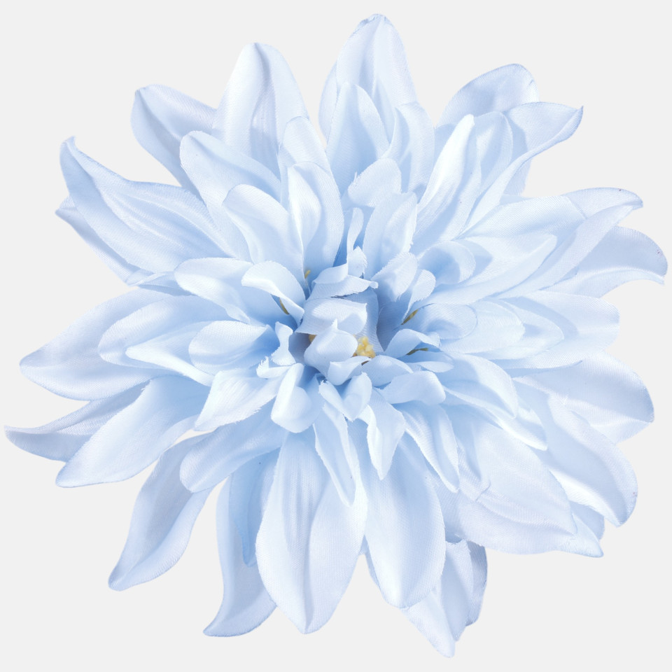 Dahlia, Lt. Blue W008-04