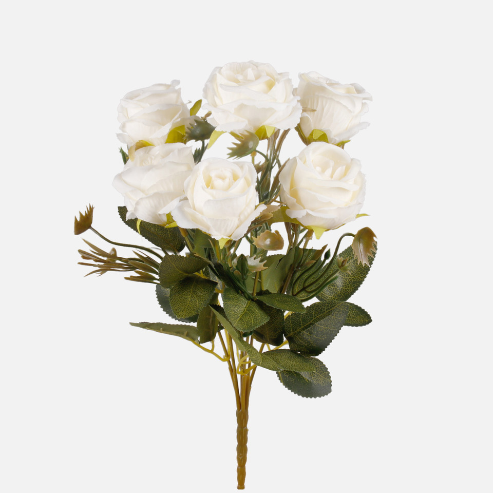Róża x 6, Cream QA125-02