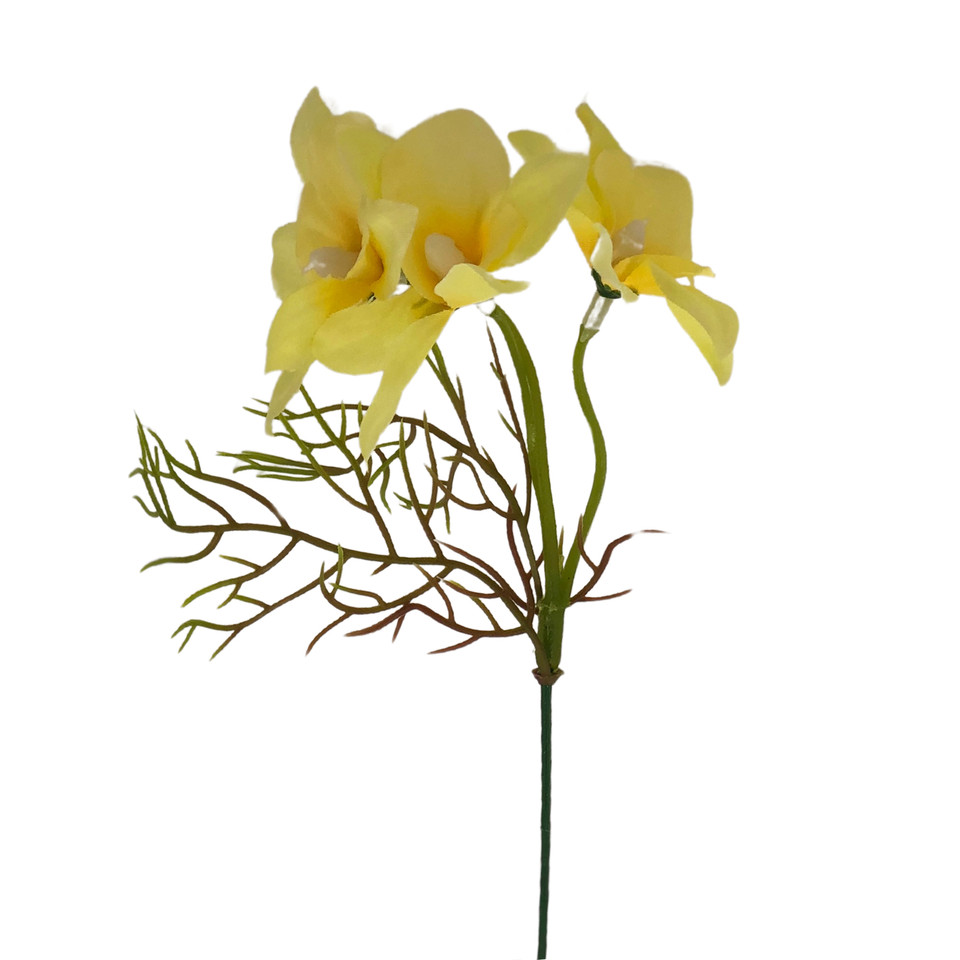 Żonkil - pik 33 cm, m DK075E-m