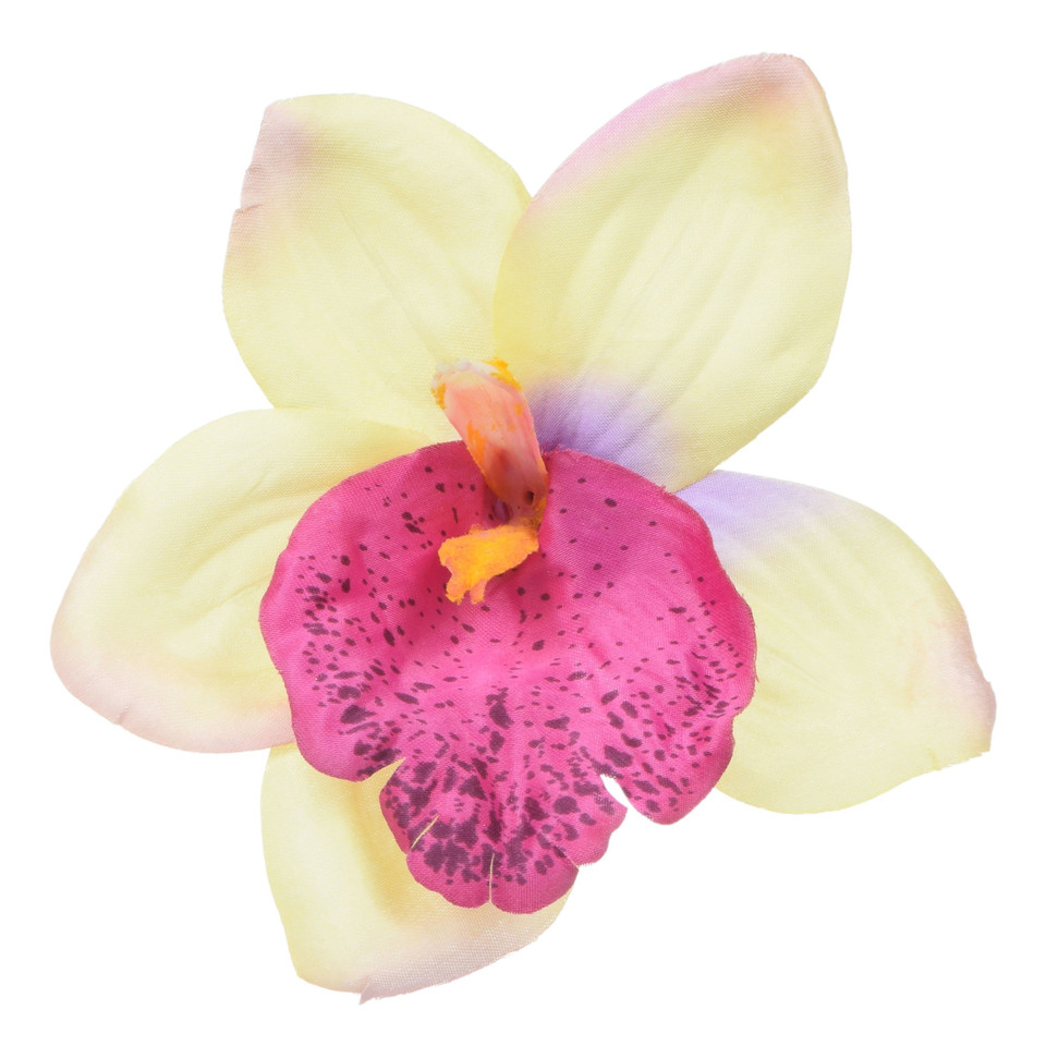 Storczyk - główka 14 cm, cream/purple W017-35