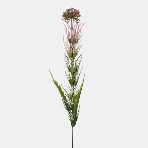 Decorative garlic, Mix 1 A778-05