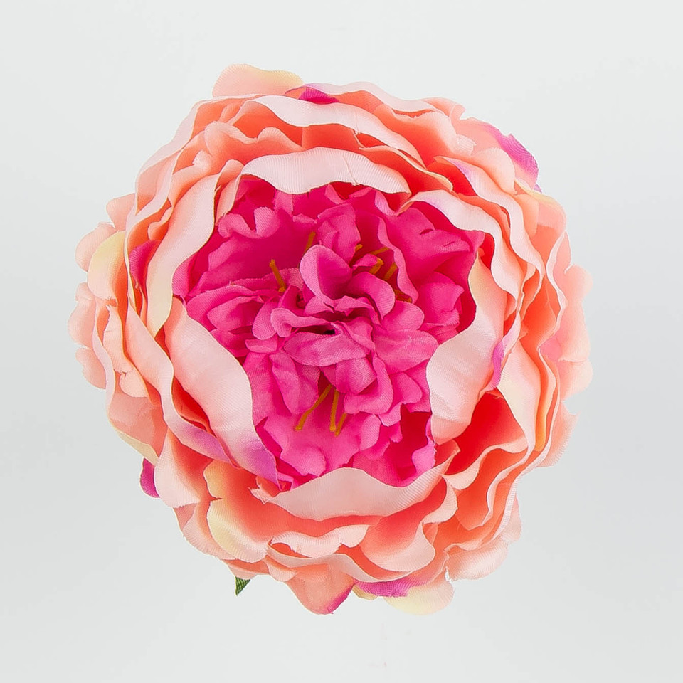 Peonia – główka, tt.pink/green B11-03