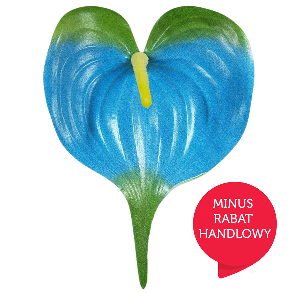Anturium serduszko - główka 14,5 cm, blue/green WF029-17