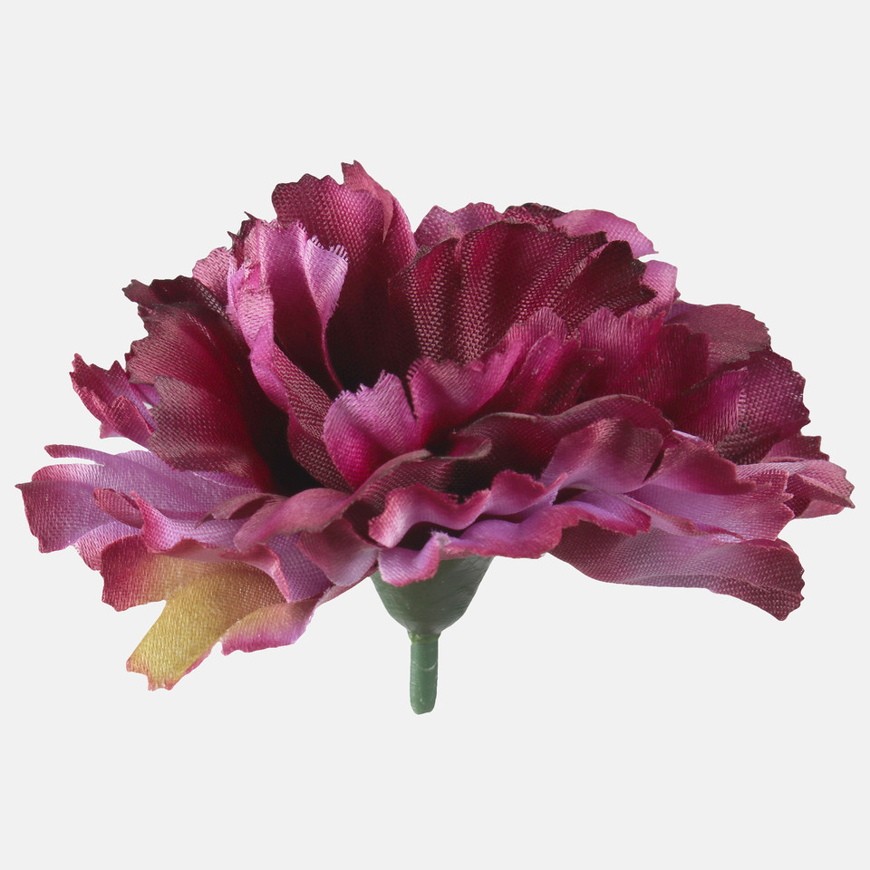 Goździk satynowy, Dk. Violet/Auumn Green Edge W616-40