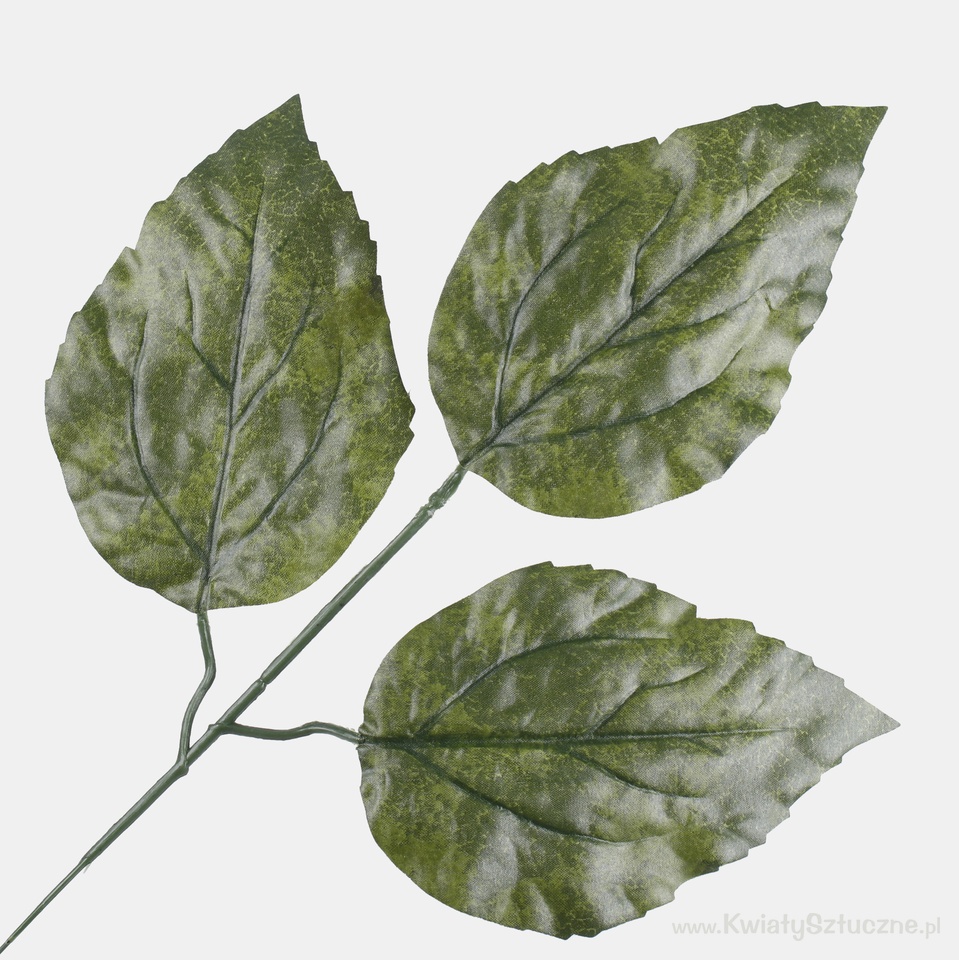 Sunflower leaf, Green A162-01