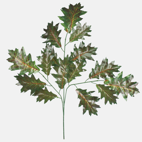 Oak F222