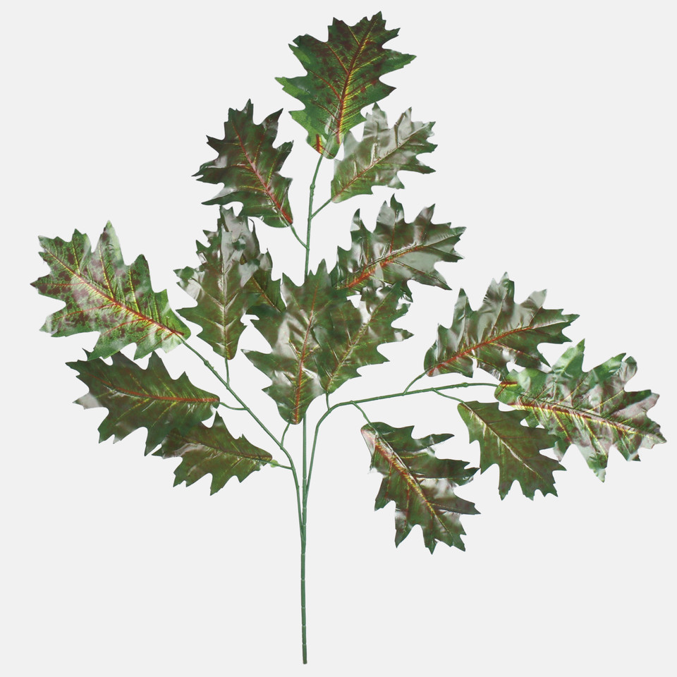 Oak, Green F222-01