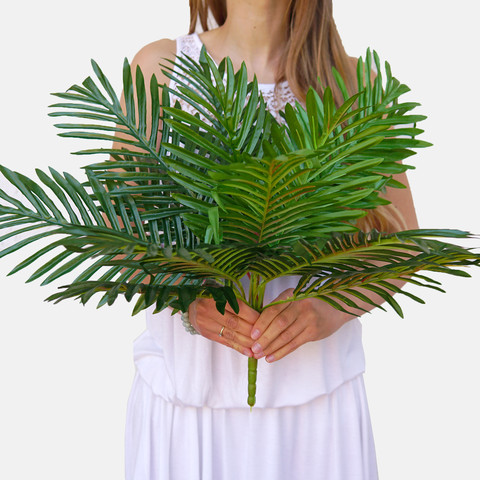 Palm Z089