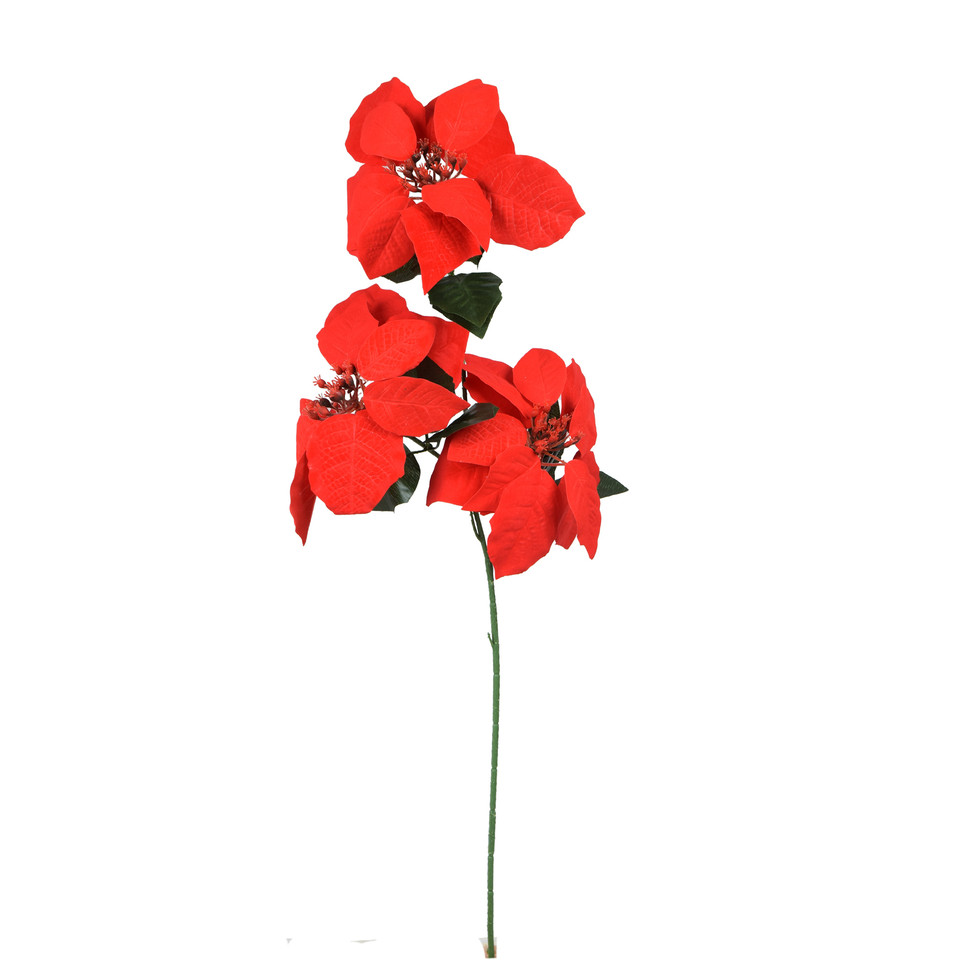 Poinsecja, Red X392-00