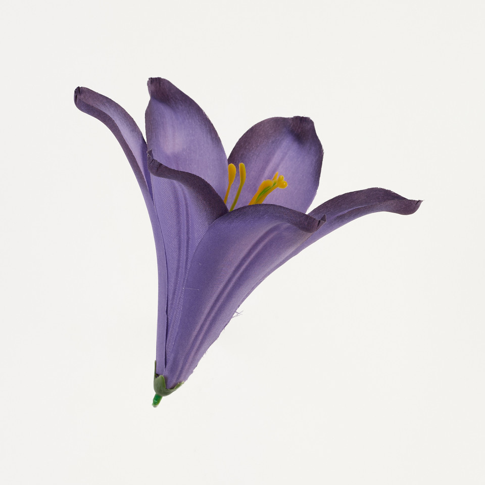 Lilia – główka satyna, violet B276-026