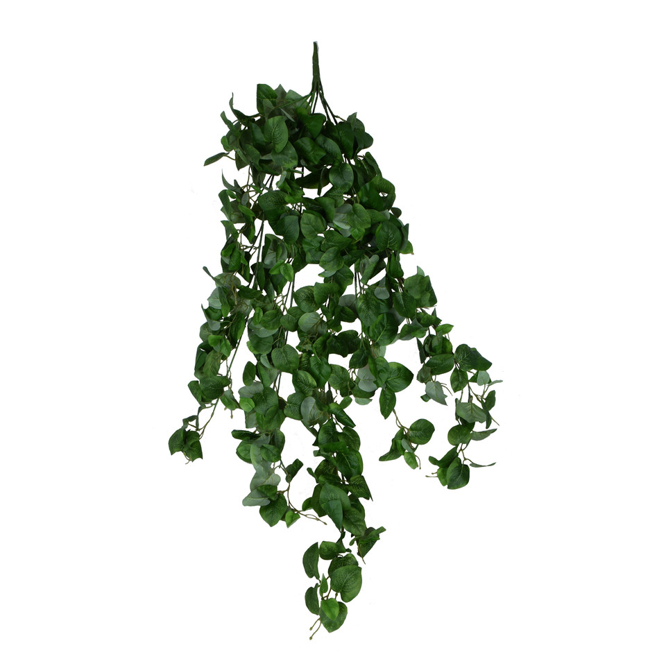 Pothos - zwis 125 cm B236-00