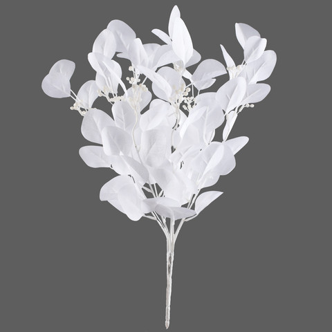 Eucalyptus x 9 QA273