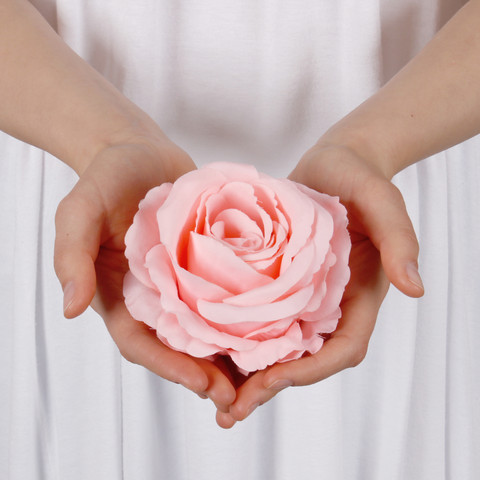 Rose W697 (Product size)