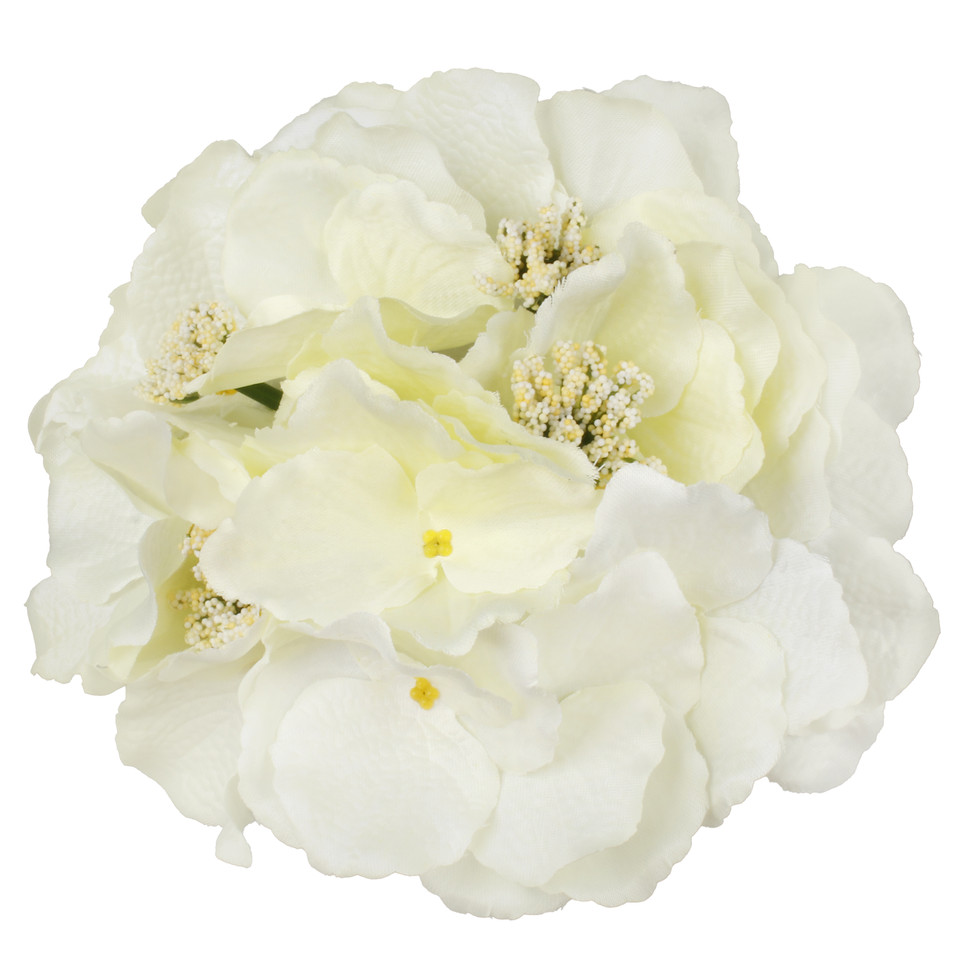 Hortensja satynowa, Cream/Lt. Yellow W611-02