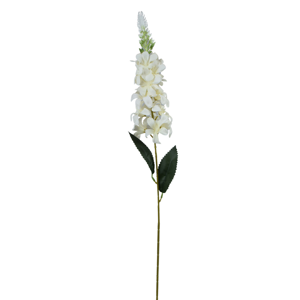 Delfinium Ostróżka – gałązka 75 cm, m2 K649-m2