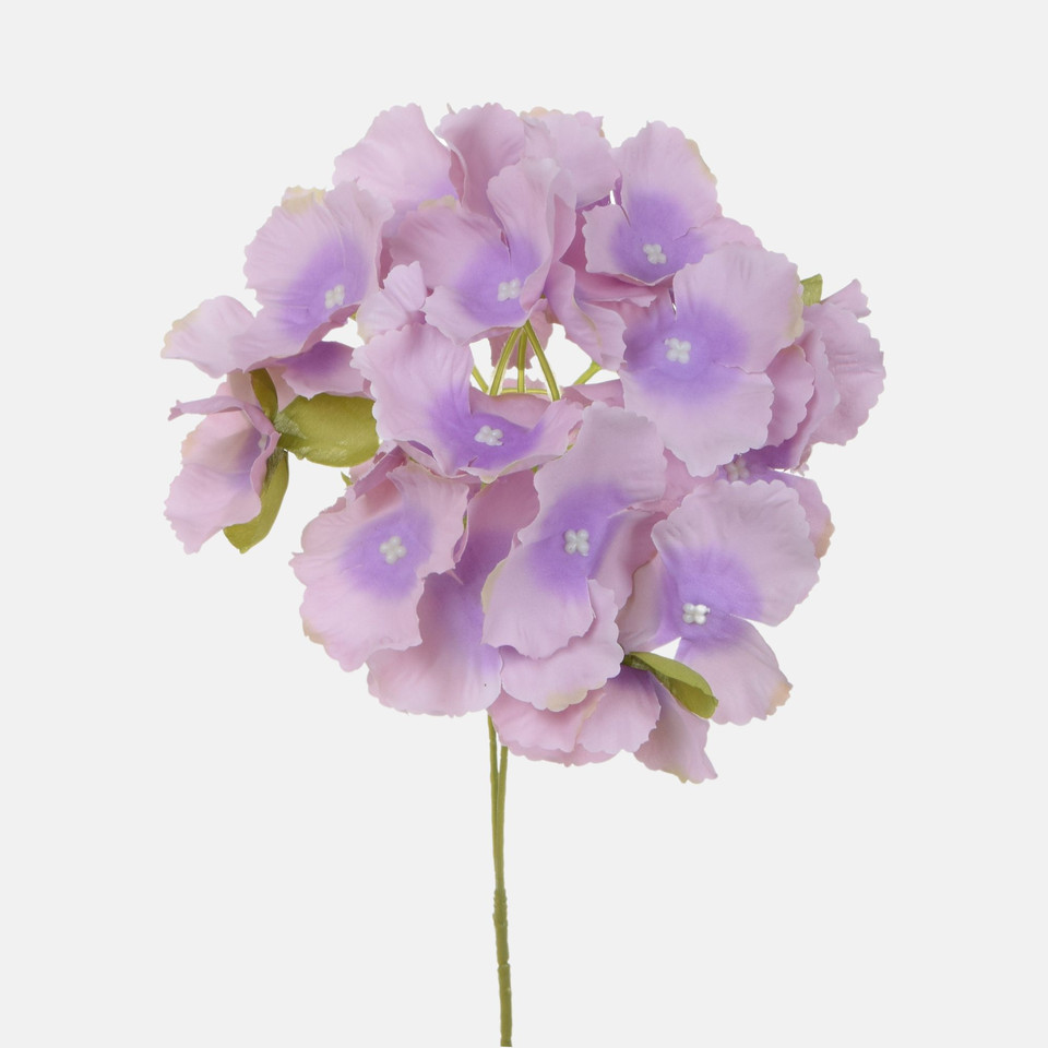 Hortensja, Lt. lavender BK320-05