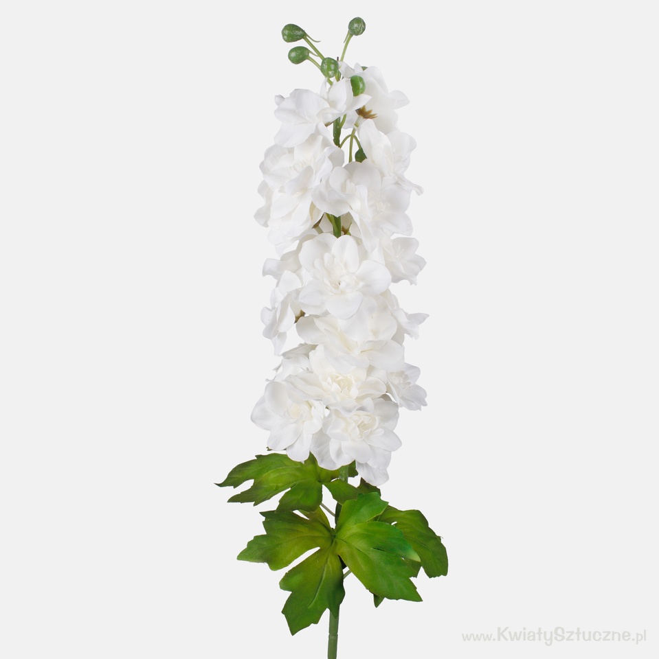 Delphinium, Cream L181K-05