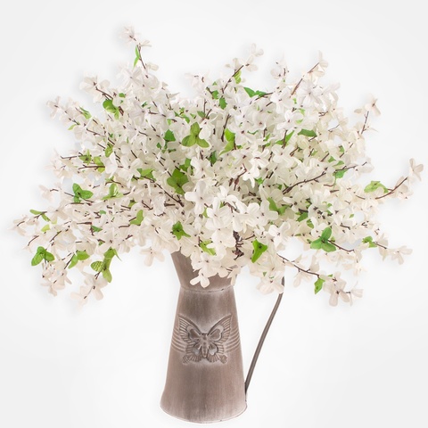 Forsythia, Cream G002-02