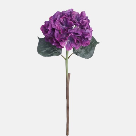 Hortensja gumowana, Violet BGK096-19