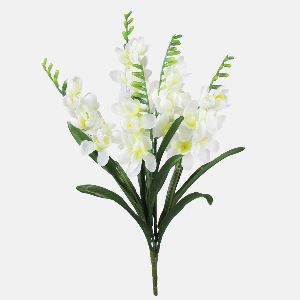 Frezja bukiet x 5, Cream QA353-02