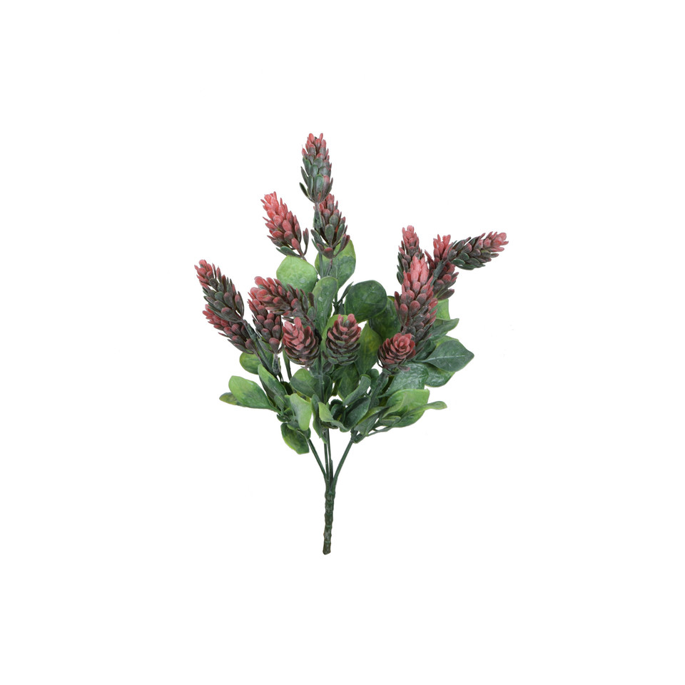 Chmiel - bukiet 30 cm, m R575-m