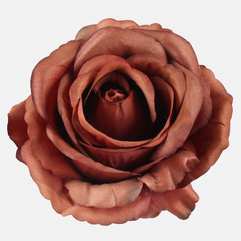 Rose, Brown W697-26