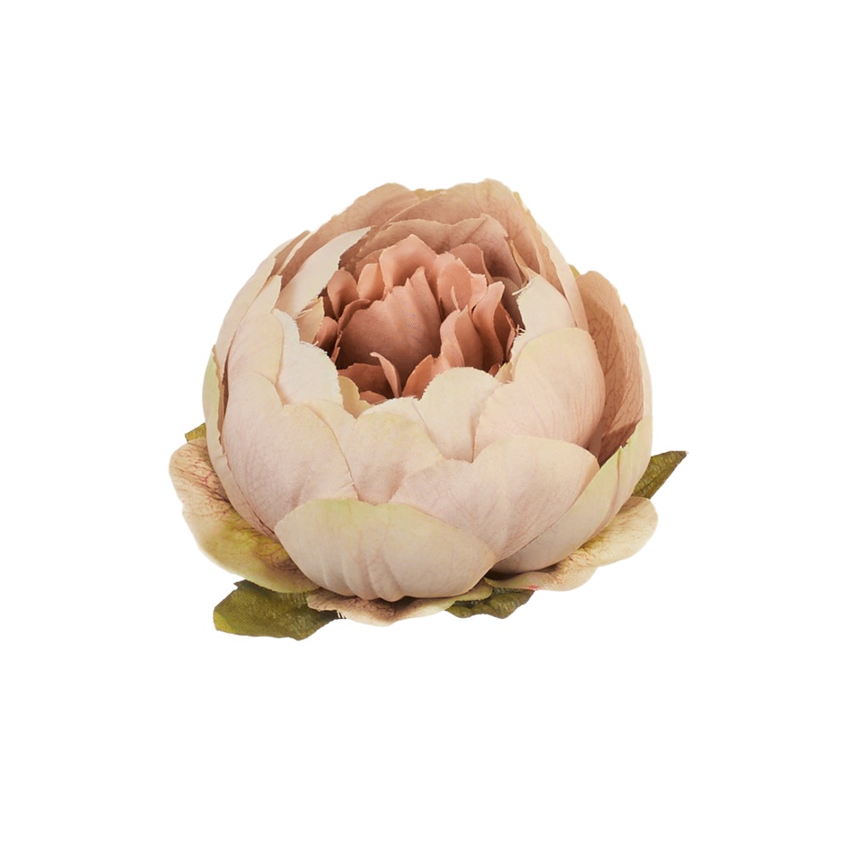 Peonia – główka, 8 B39-08A