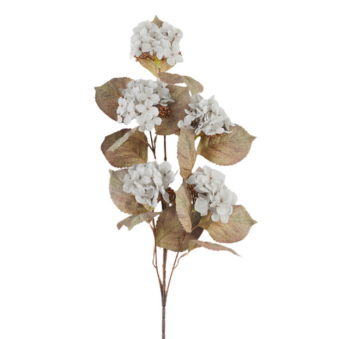 Hydrangea - twig AL174