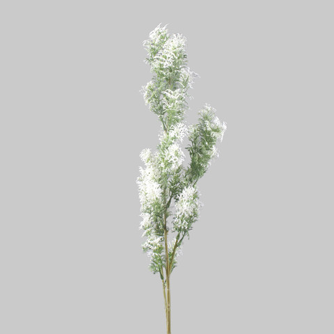 Cypress, Green/White A704-03