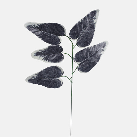 Hibiscus, Black/White Edge F165-01