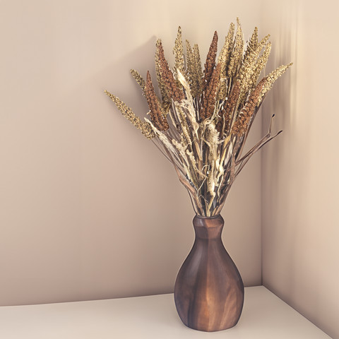 Setaria, Autumn Yellow A769-01