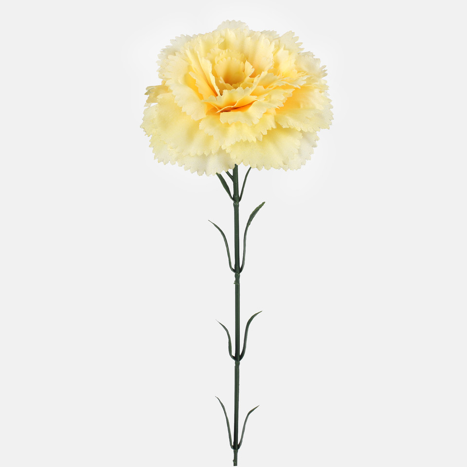 Carnation, Mix 1 G392-01