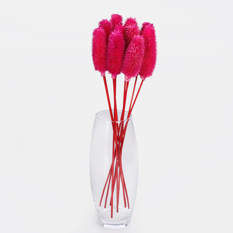 Oset, Pink Y607-06