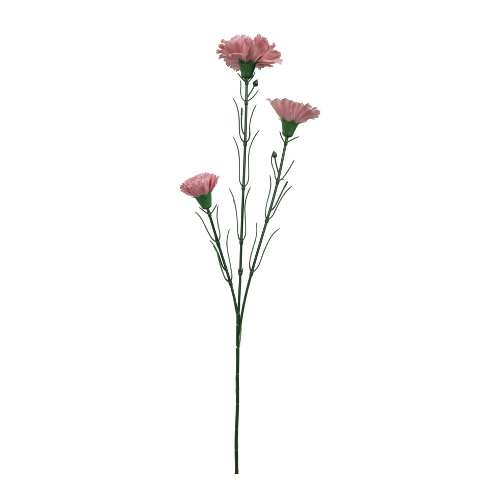 Goździk - gałązka 60 cm, m3 GK149-m3