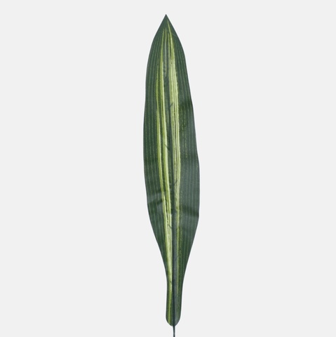 Dracaena rubbered leaf H010B