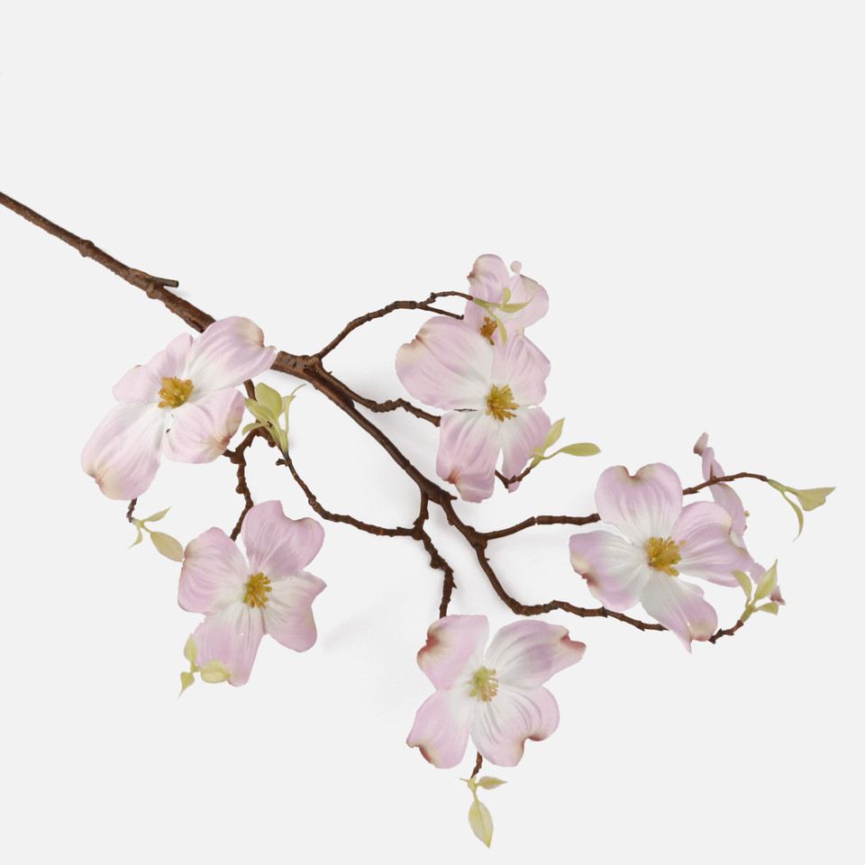 Magnolia, Cream/Pink L781L-02