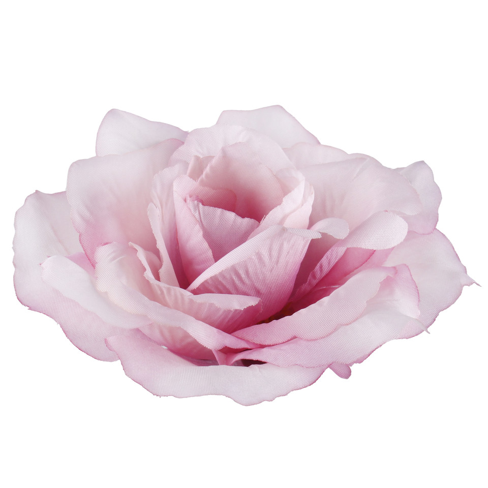 Róża francuska, T.T. Pink W087-07