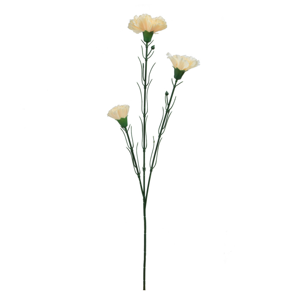 Goździk - gałązka 60 cm, m3 GK149-m3
