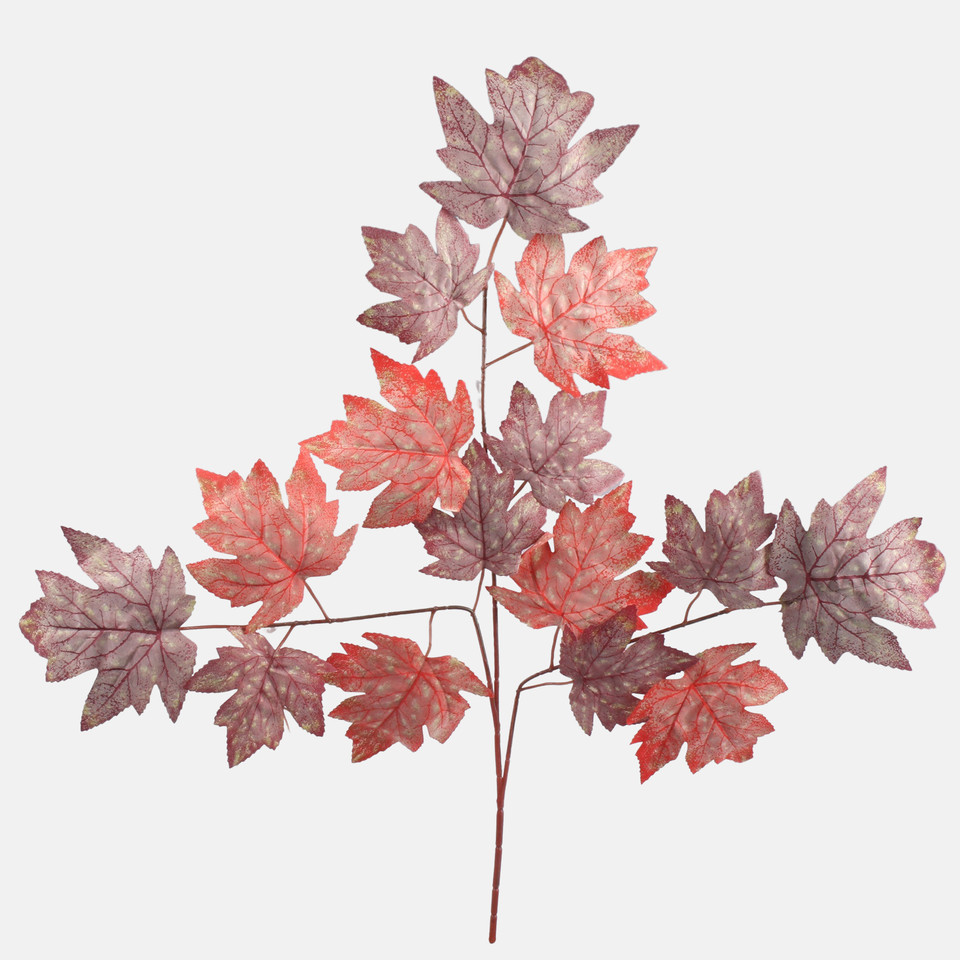 Maple, Red/Burgundy F223-01