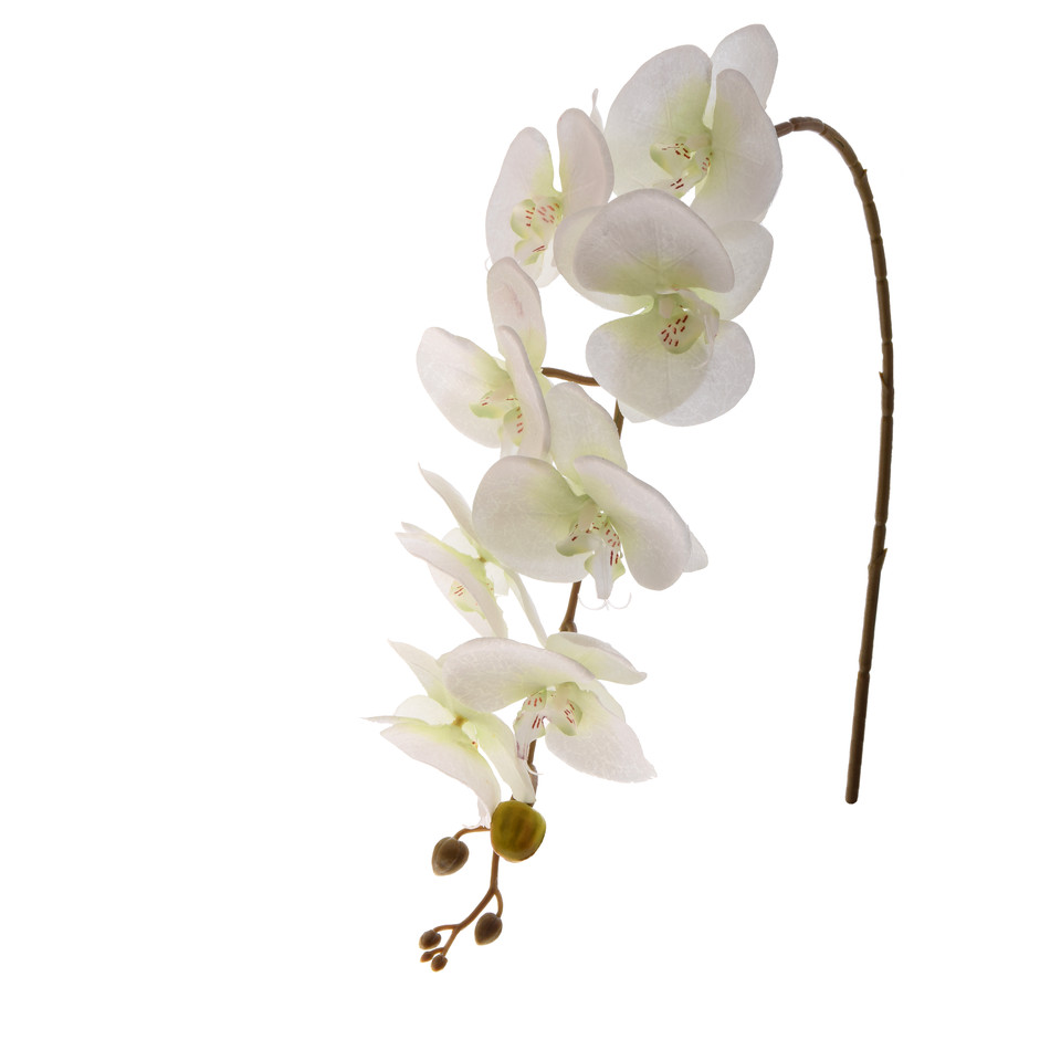 Storczyk - gałązka satynowa 92 cm, cream/green K218-03