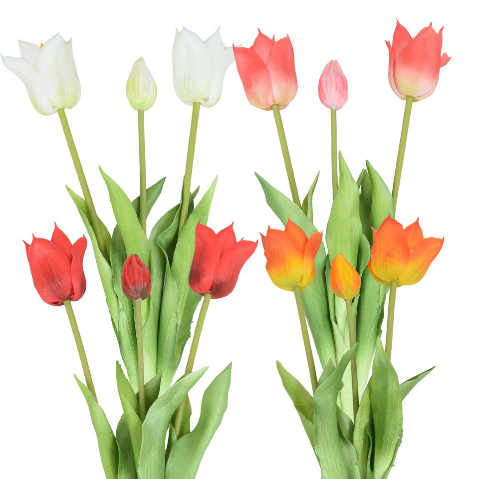 Tulipan x 3, Mix U344-m