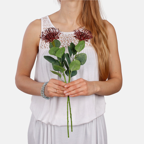 Pincushion Protea A649 (Product size)