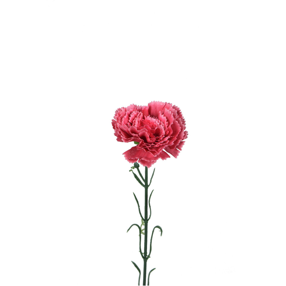 Goździk - gałązka 53 cm, m K402-m